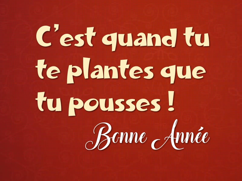 Citation positive écologique 2026 : C’est quand tu te plantes que tu pousses