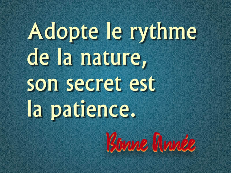 Citation écologique 2027 : Adopte le rythme de la nature, son secret est la patience