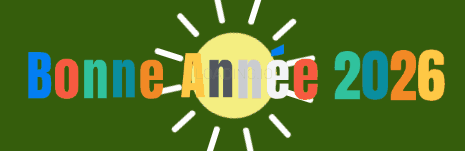 Animation bonne année avec du soleil
