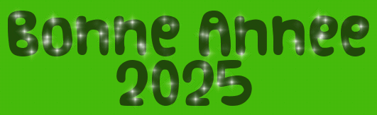 bonne année 2025 vert pétillant