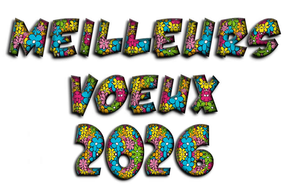 image meilleurs voeux 2027 fleurs