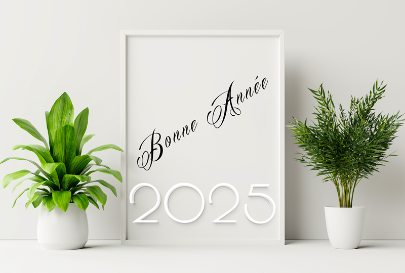Cartes de voeux 2025 avec des plantes en pots