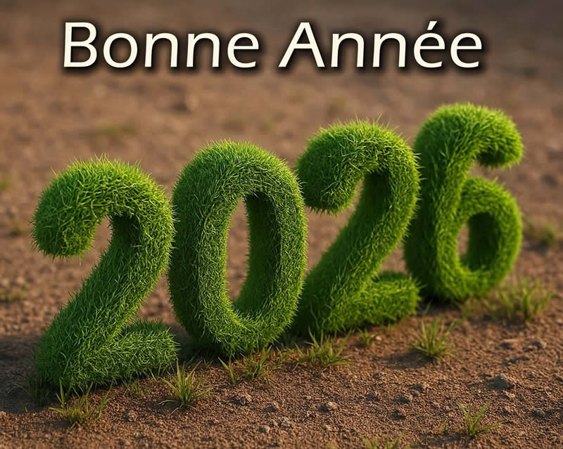 image Bonne Année 2026 durable