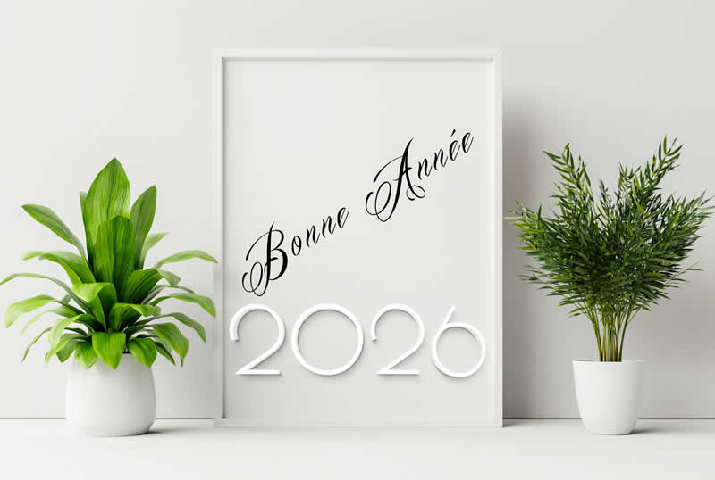 Cartes de voeux 2027 avec des plantes en pots