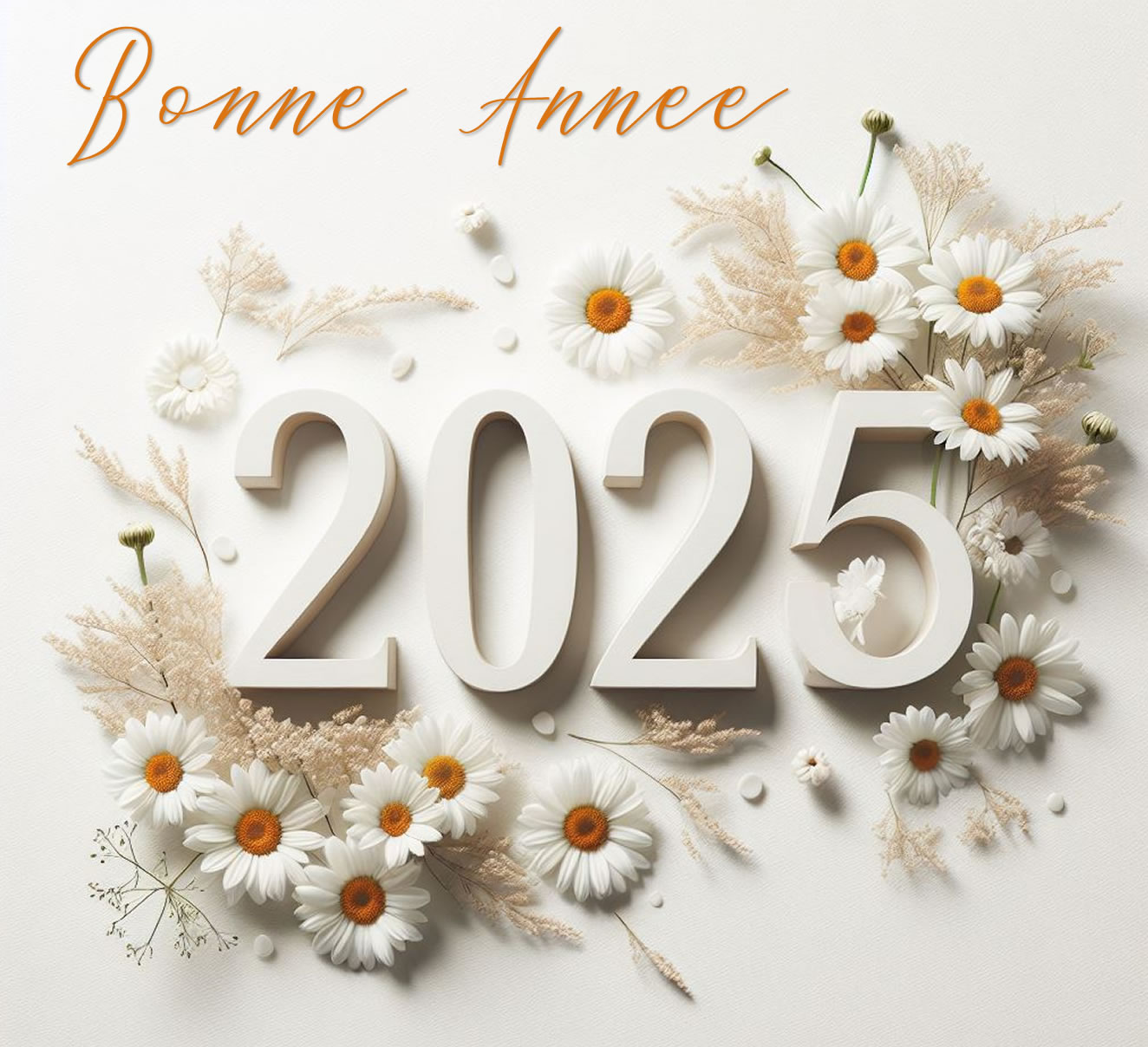 image bonnes resolutions ecologiques 2025