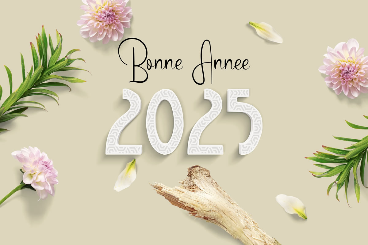 image voeux eco responsable 2025