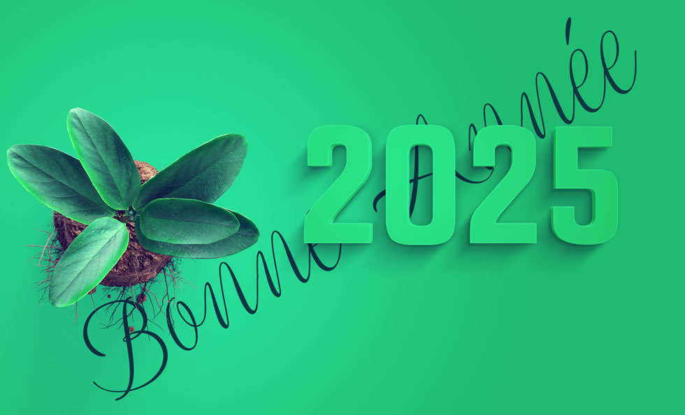 Image bonne année 2025 avec des plantes vertes et de la terre