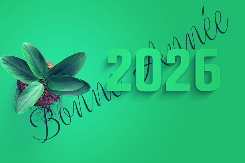 Image bonne année 2026 avec des plantes vertes et de la terre