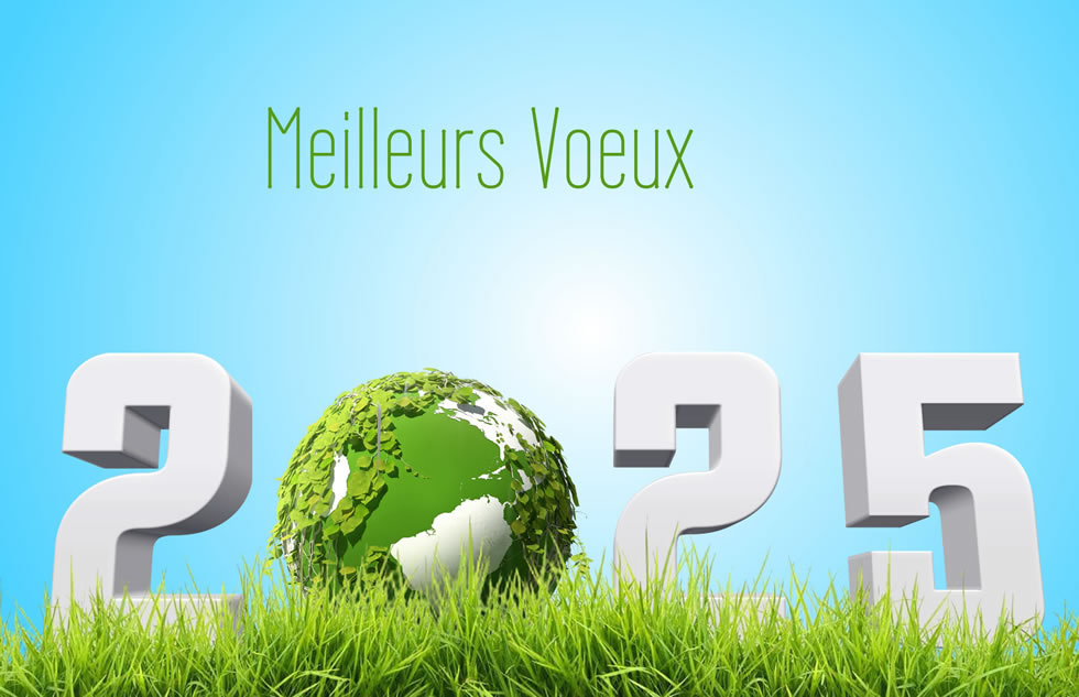 Meilleurs Voeux 2025 vert et orange