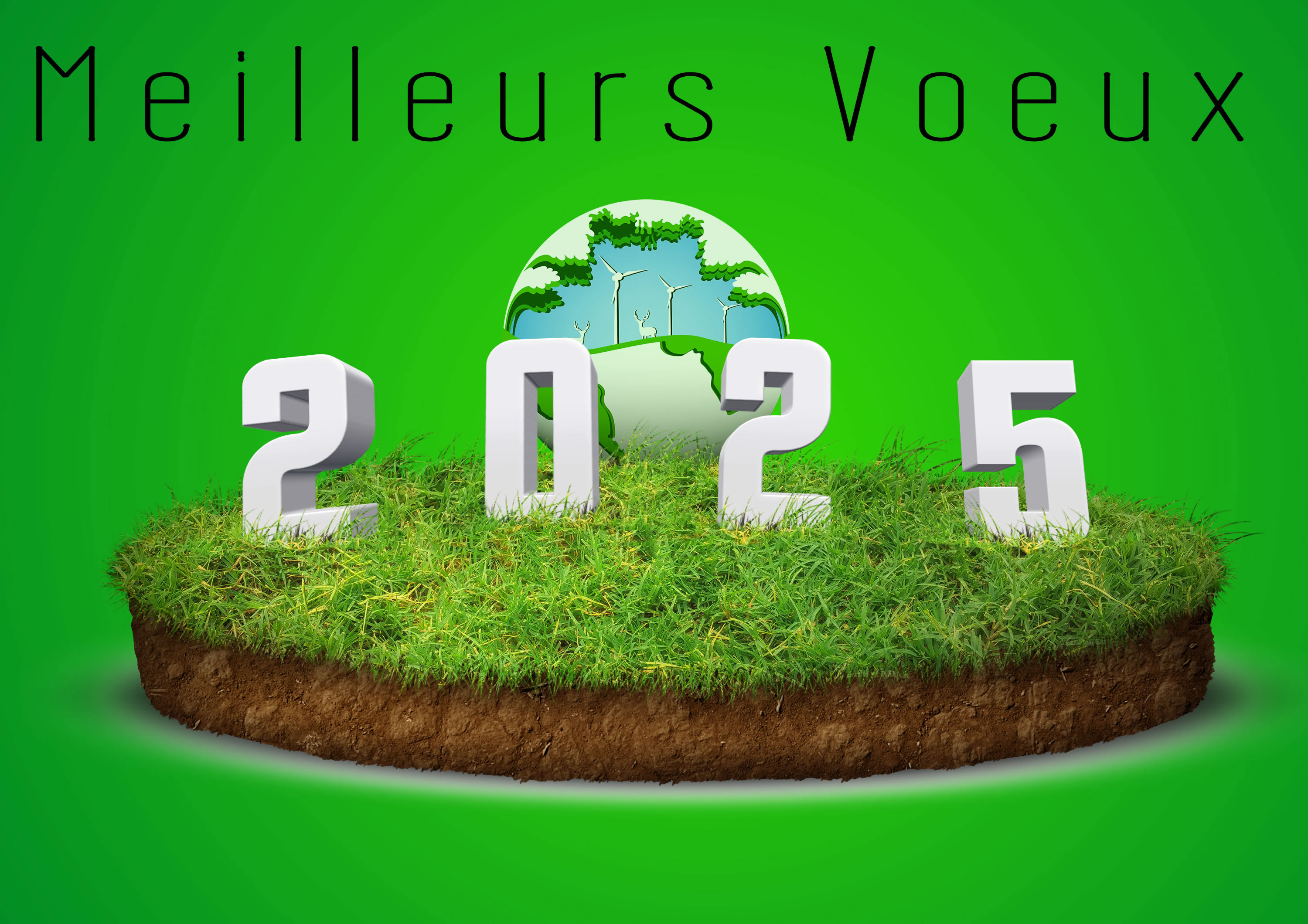 image ecologique gratuite 2025