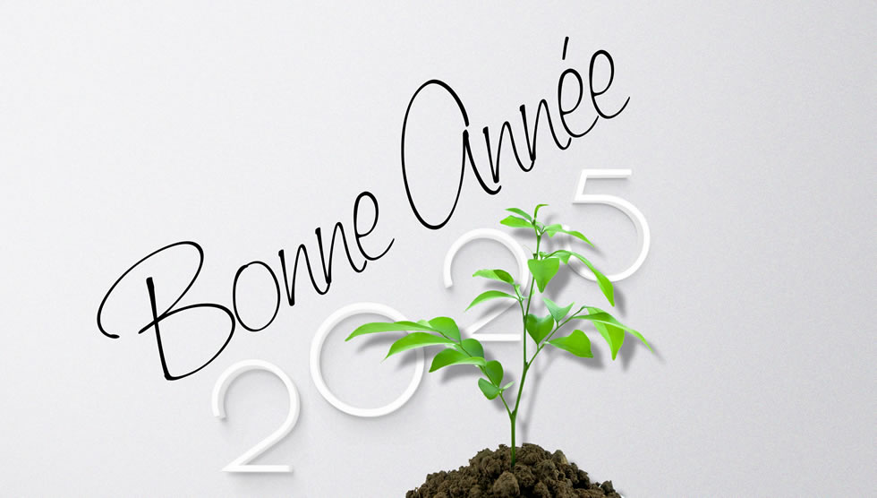 Image bonne année avec des plantes vertes et de la terre