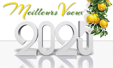 Image meilleurs vœux 2025 avec citronnier