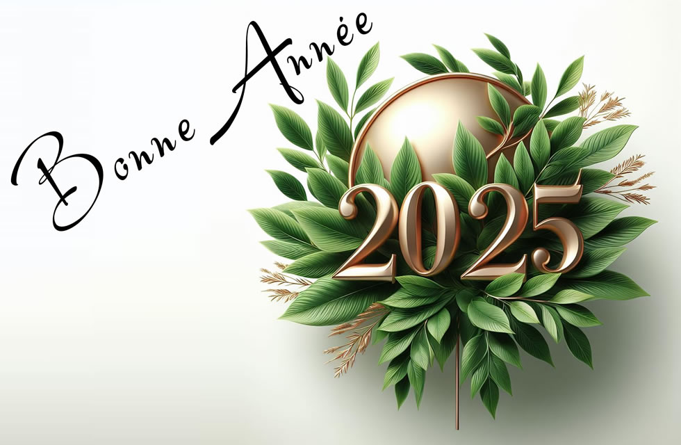 Meilleurs Voeux 2025 avec une plante orange