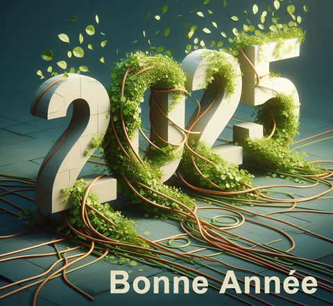 Image avec un grand 2025 fait avec un effet herbe réaliste