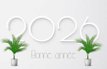 image avec texte bonne année 2026 avec deux plantes en pot