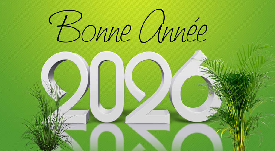 Meilleurs Voeux 2026 avec une plante orange
