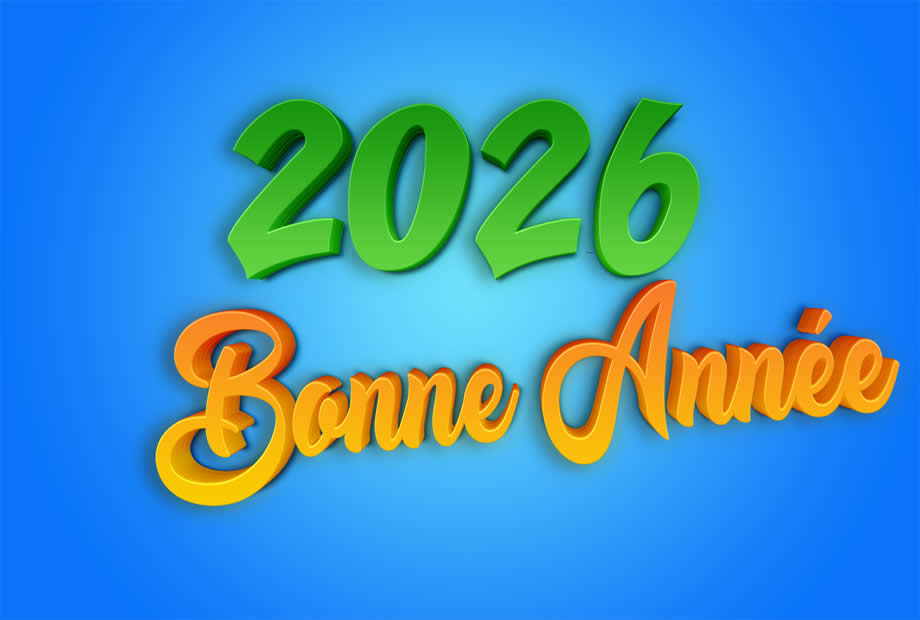 Meilleurs Voeux 2027 vert et orange