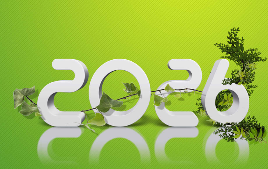 Meilleurs Voeux 2027 vert et orange