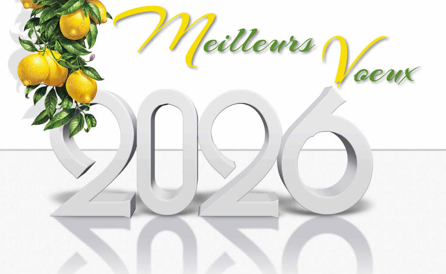 Image meilleurs vœux 2027 avec citronnier