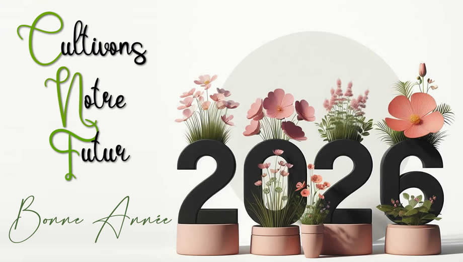 Meilleurs Voeux 2027 avec une plante orange