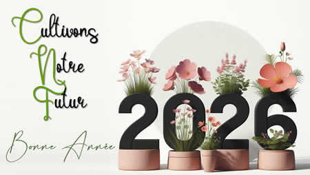 Image élégante avec un grand 2027 en 3D et deux plantes vertes