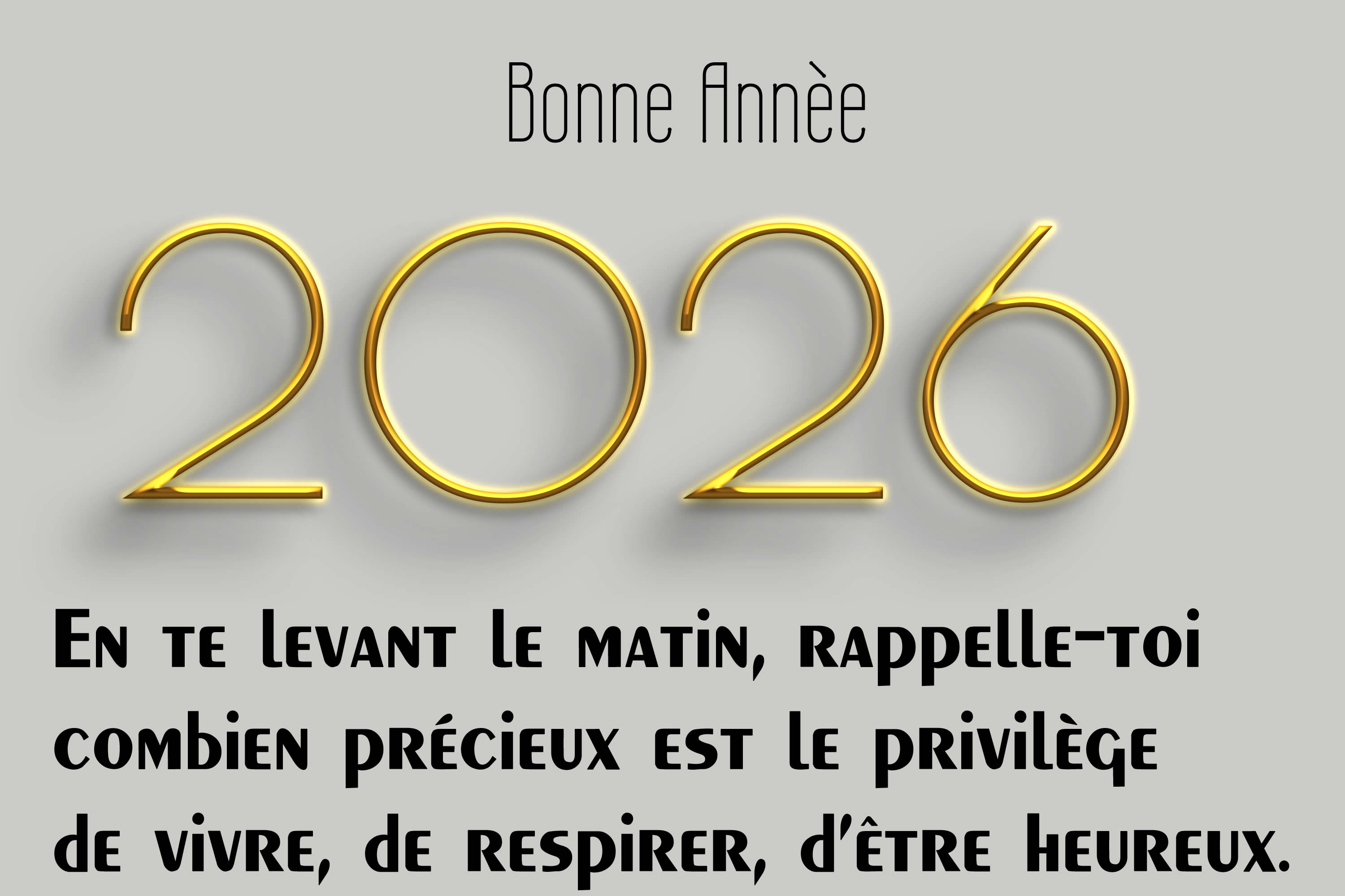 Meilleurs Voeux 2027 avec une plante orange