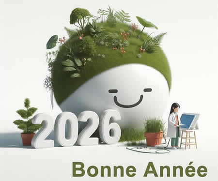 Image avec un grand 2027 fait avec un effet herbe réaliste