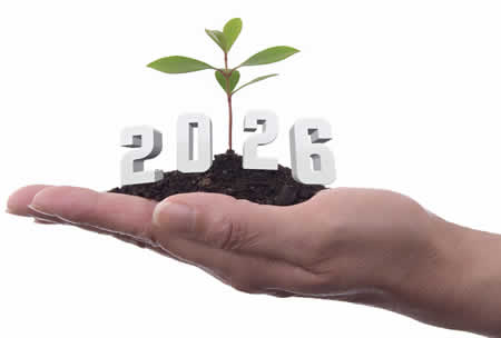 Image 2027 avec une main tenant une plante